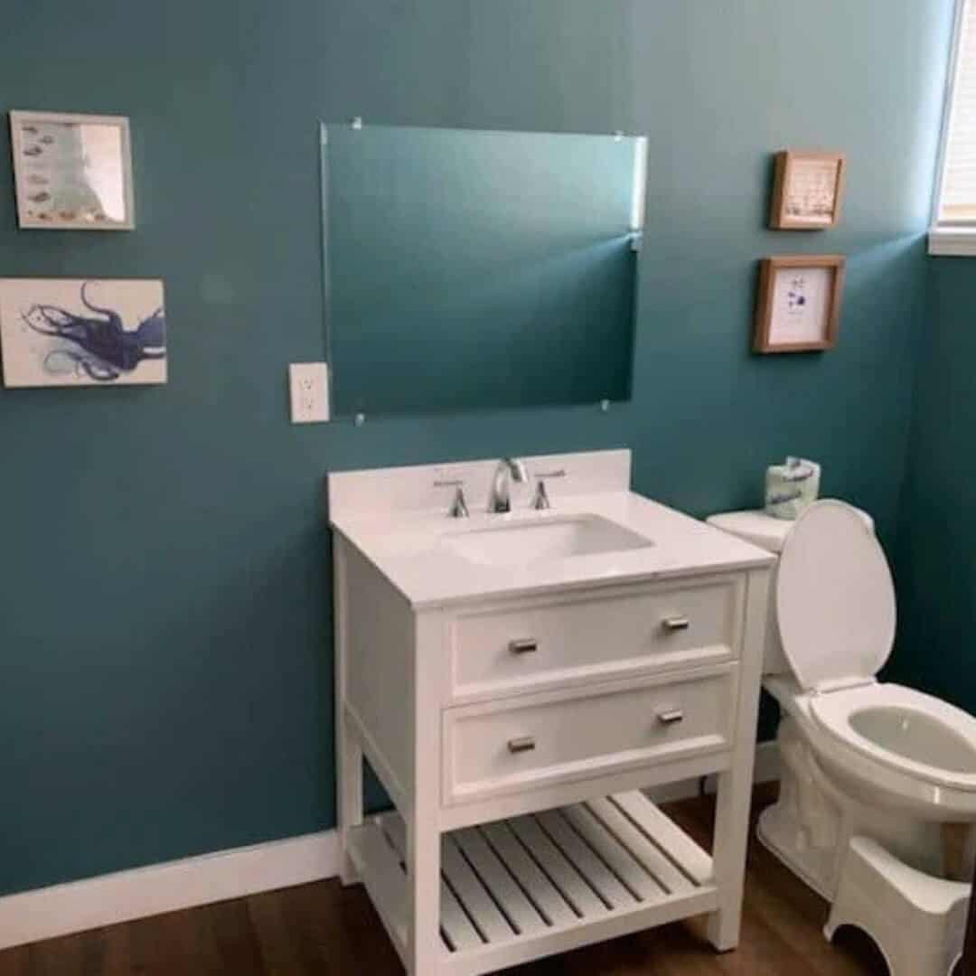 Private birth suite bathroom
